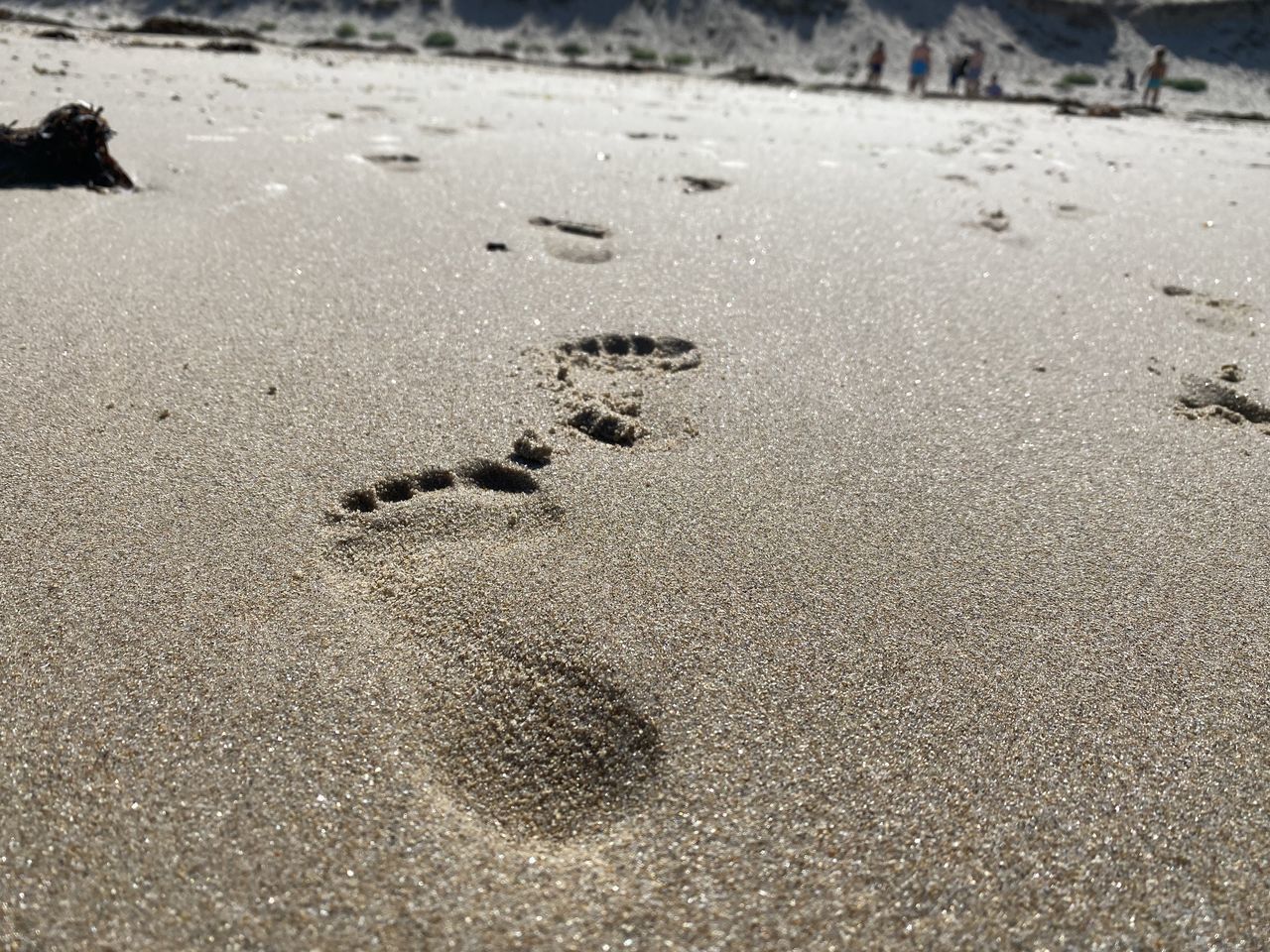 HIGH ANGLE VIEW OF FOOTPRINTS ON WET SAND