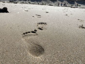 High angle view of footprints on sand at beach