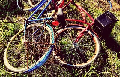 Bicycles parked on tree