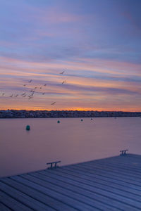Birds flying over sea against sky at sunset