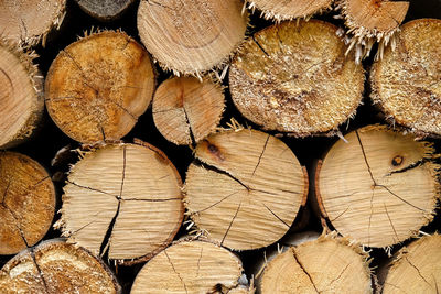 Full frame shot of logs in forest