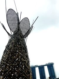 Low angle view of insect on nest against sky