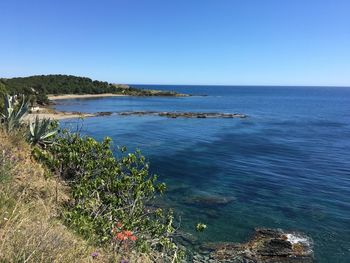 Scenic view of sea against clear blue sky