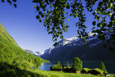 Scenic view of lake against clear blue sky