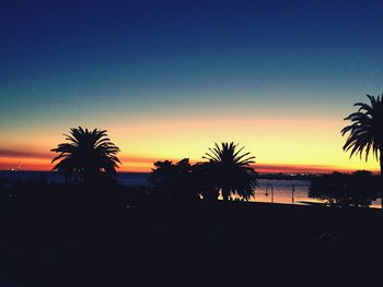 Silhouette of palm trees at sunset