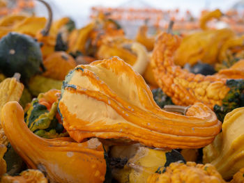 Close-up of orange fruits for sale in market