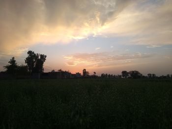 Scenic view of field against sky during sunset