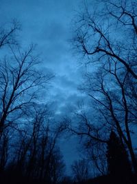 Low angle view of bare trees against sky