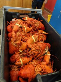 High angle view of prawns on barbecue grill