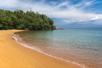 Calm beach on the tropical island of ilha grande in brazil