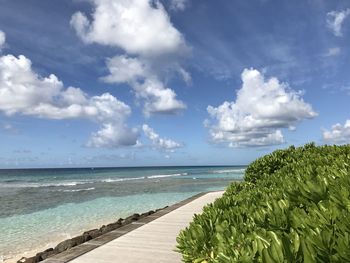 Scenic view of sea against sky in barbados 