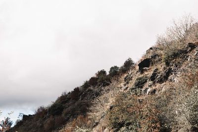 Low angle view of tree mountain against sky