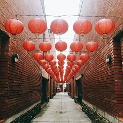 Illuminated lanterns