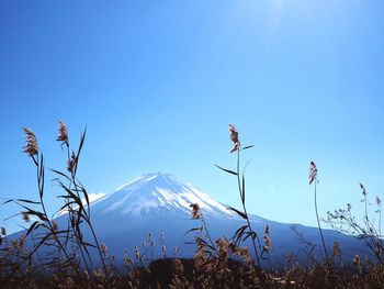 Low angle view of snowcapped mountains against clear blue sky