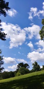 Low angle view of trees against sky