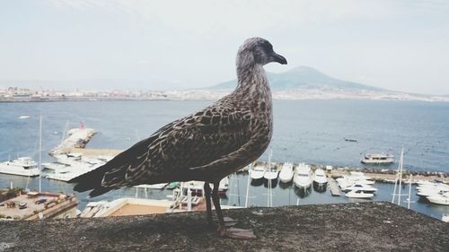 View of sea against sky