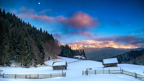 Snow covered field against sky