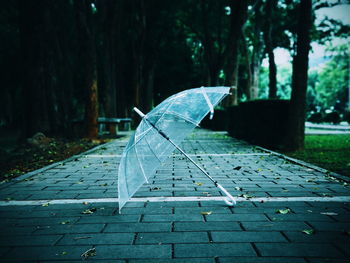 Close-up of wet footpath in park during rainy season