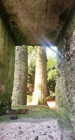 View of an abandoned building