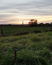 Scenic view of field against sky during sunset