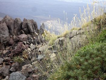 High angle view of rocks on sea shore