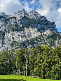 Low angle view of trees on mountain against sky