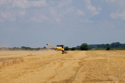 Combine harvester harvest ripe wheat on a farm in nedelisce, croatia