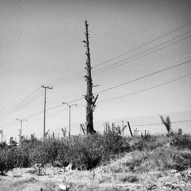 power line, electricity pylon, electricity, power supply, field, fuel and power generation, cable, clear sky, connection, landscape, technology, grass, nature, sky, tranquility, rural scene, growth, plant, tranquil scene, no people