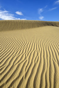 Sand dune in desert against sky