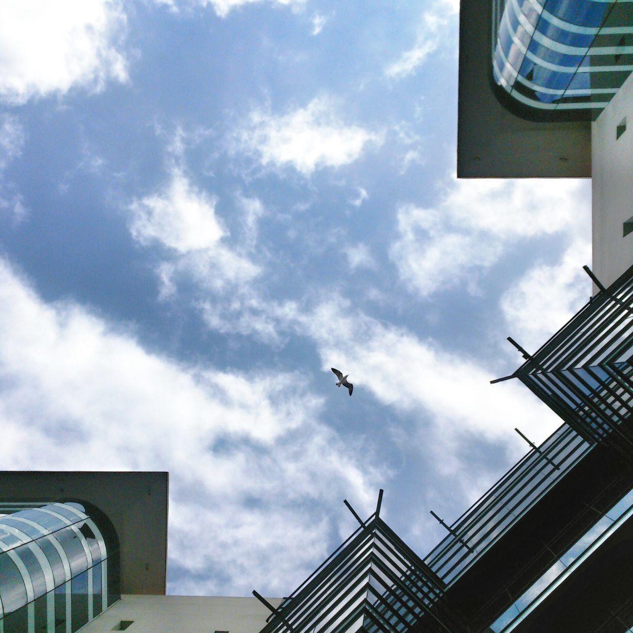 low angle view, architecture, building exterior, built structure, sky, flying, cloud - sky, bird, building, cloud, animal themes, city, cloudy, mid-air, modern, outdoors, wildlife, no people, day, animals in the wild