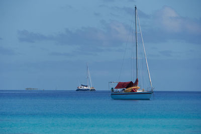 Sailboat sailing on sea against sky