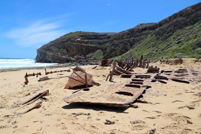 Scenic view of beach