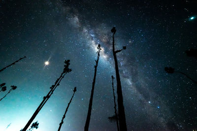 Low angle view of stars against sky at night