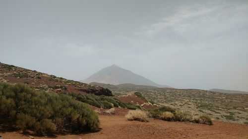 Scenic view of landscape against sky