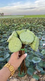 Midsection of person holding leaf against sky