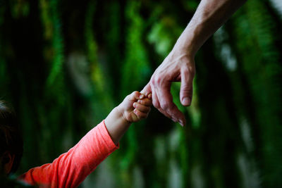 Cropped image of hand against blurred background