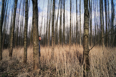 Man standing behind tree in forest
