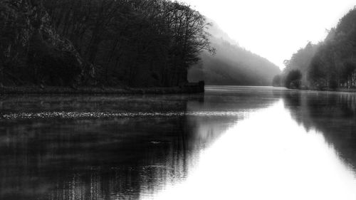 Reflection of trees in calm lake