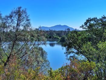 Scenic view of lake against clear blue sky