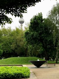 Plants and trees against sky