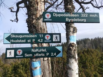 Close-up of road sign