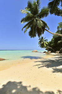 Scenic view of beach against clear sky