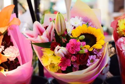 Close-up of pink flowers