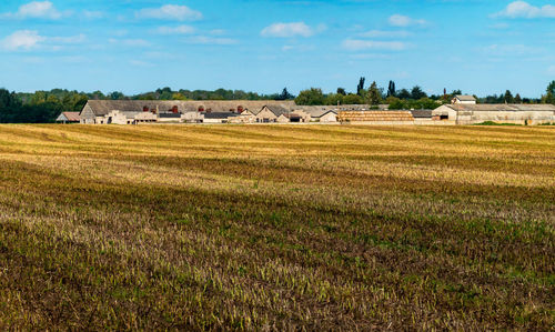 Scenic view of agricultural field by houses against sky