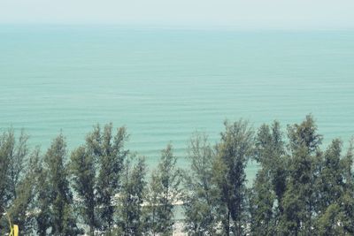 High angle view of trees by sea against sky