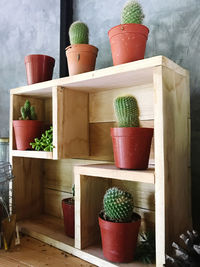 Potted plants on shelf