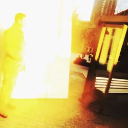 Sun shining through trees