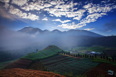 Scenic view of agricultural field against sky