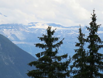 Scenic view of tree mountains against sky