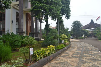 Footpath amidst trees and buildings against sky